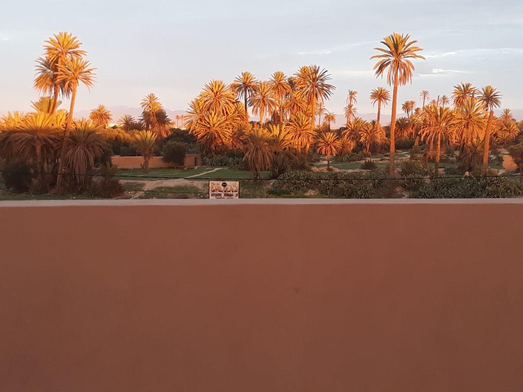 Riad Janoub Tiznit Exterior photo